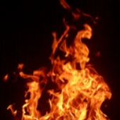 Avatar für scandel666