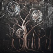 Ancient Trees