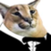 meow6441 さんのアバター