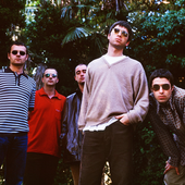 Oasis