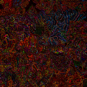 Avatar for imsureso