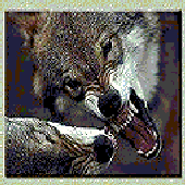 Avatar for kakos_lykos