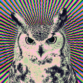 Avatar for veronicarocha