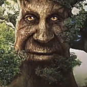 cheimer için avatar