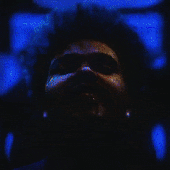 Avatar for Memedez