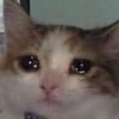 Avatar di ebeary