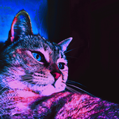 Avatar for Alecitor
