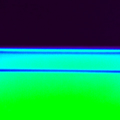 Avatar for Deeds468