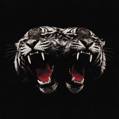 Dead Company