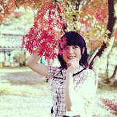 Koeda Nov 2018