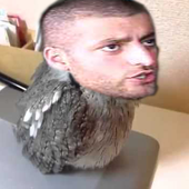 Awatar dla KCsSteuern
