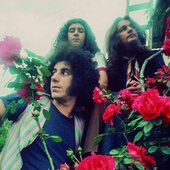 Color Humano