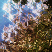 Avatar for Shin821