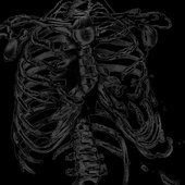 Hollow Cage