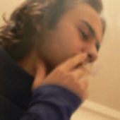 Avatar for palamut