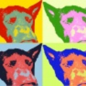 Avatar di Dr0wned