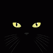 Avatar di prinderella