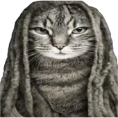 Avatar für kasaii0131