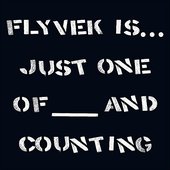 Flyvek Is ... Just One of ____ and Counting