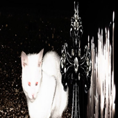Avatar for nanielson312