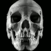 Avatar for SacredProfane