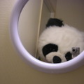 Avatar for Andy-Pandy