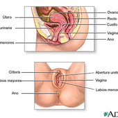 Awatar dla oonandaisarit