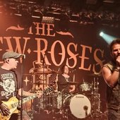 The New Roses_5.JPG