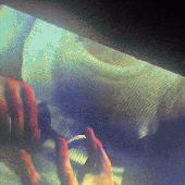 Avatar for DeathAvenue