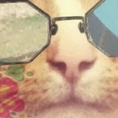 HM SURF Twitter header