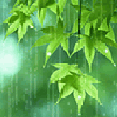 maroedonna için avatar
