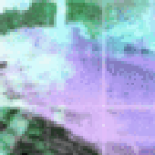 Avatar for rododrendron