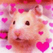 Avatar for Hamster2k