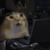 Avatar di akaaa_