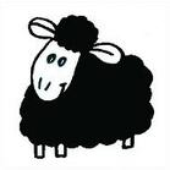 sicxsheep 的头像
