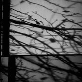 things you don't hear but, see in the dark