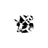 False 05