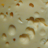 Avatar for evil-cheese