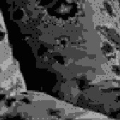 Avatar for Nickmeister