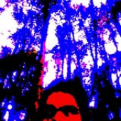 Avatar di aleand-blue