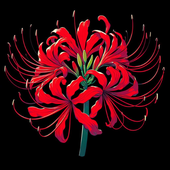 Avatar for Karma192