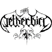 Avatar for netherbird