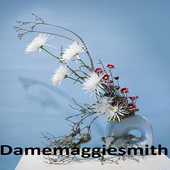 Avatar for damemaggie
