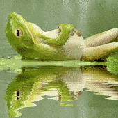 Аватар для DaBattlefrog
