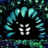 Avatar for GratefulCheeses