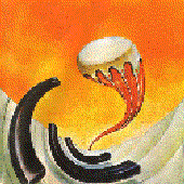 Avatar for Flyrider