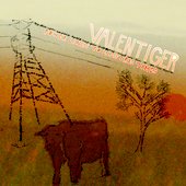 Power Lines to Electric Times