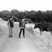 False Priest meets a cow
