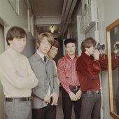 Hollies