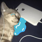 GabaPaz için avatar